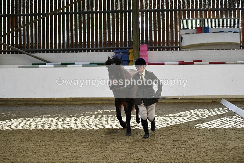 WJ5_3564 - Class 5 In Hand Veterans