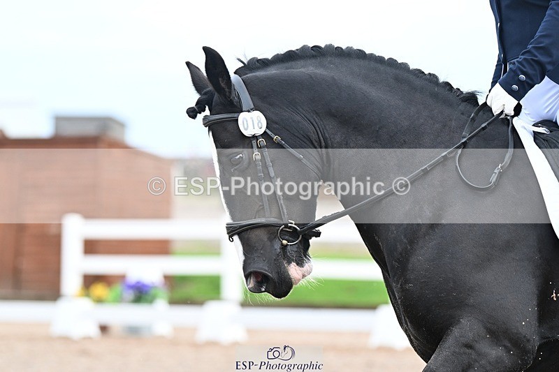 250907-112654-07213 - 018-Kathy.WhiteMilly.111