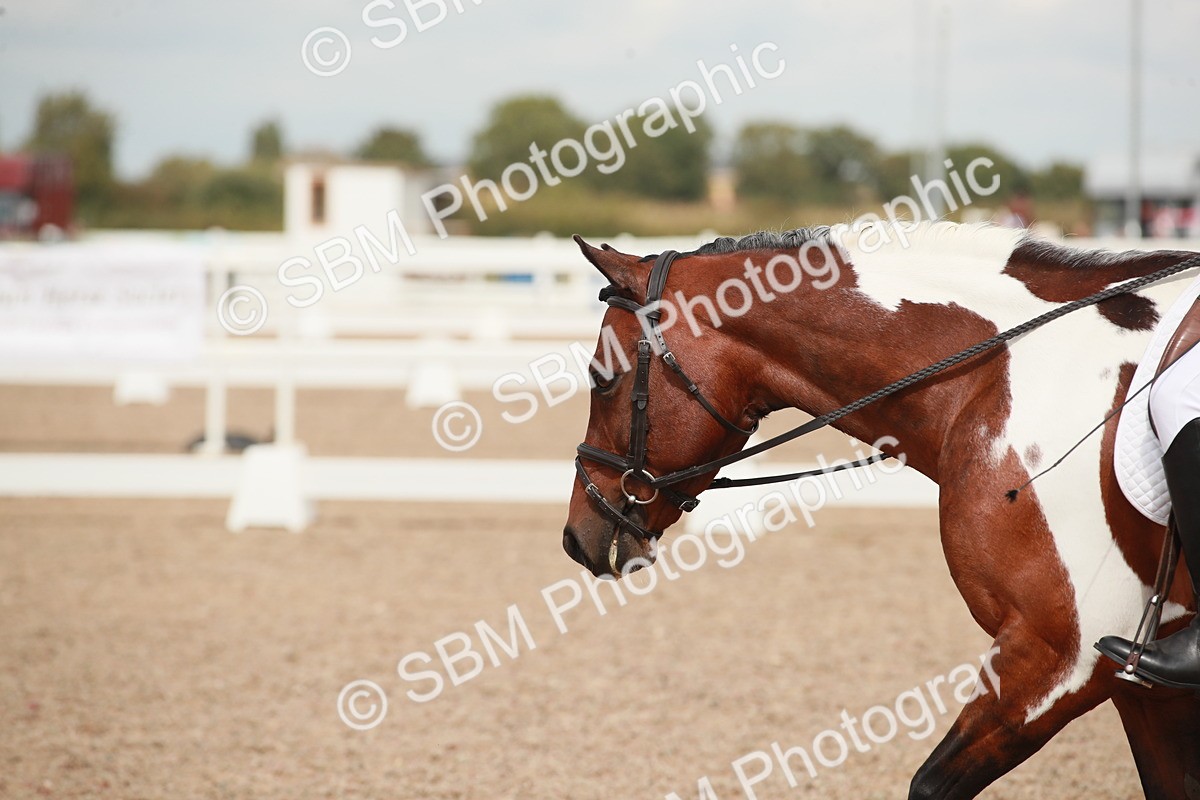 SBM_05945 - Class 32 - Novice 1