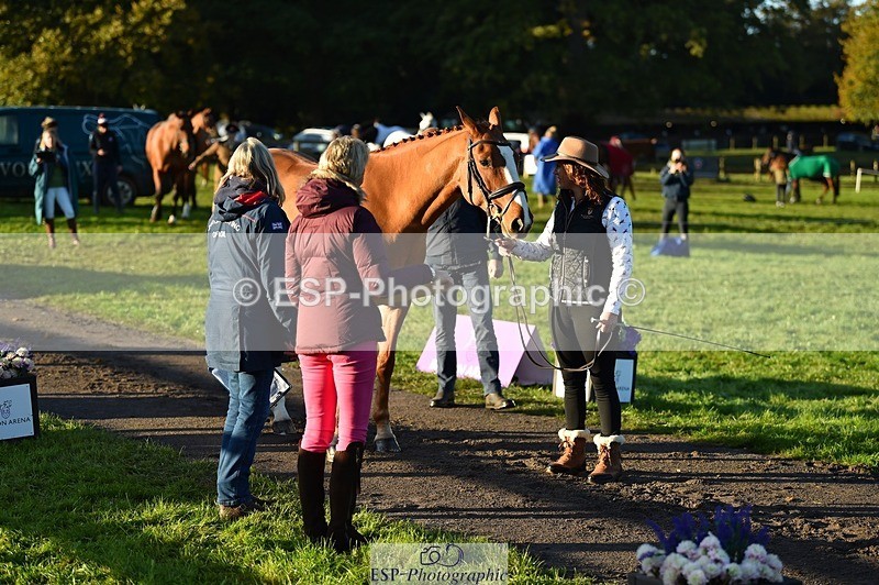 231022-090500-21551 - 606-GOLDEN.HEART.BREAKER-Emily.R.Vincent-TrotUp+SJ