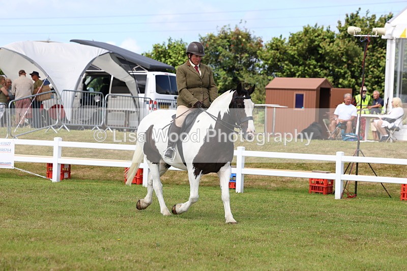 3E7A9920 - Class 5: Rising Star Lightweight/Heavyweight Cobs