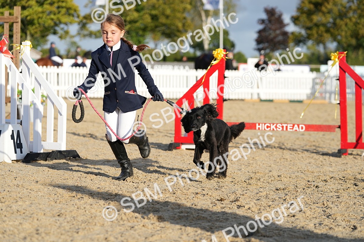 SBM_29387 - J44 - Horse & Hound Open 70cm