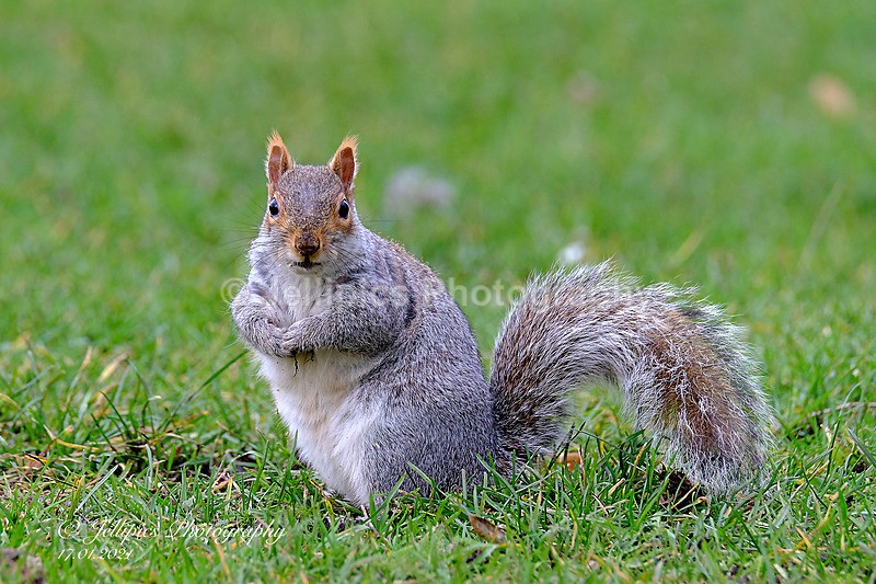  - Wildlife and Nature