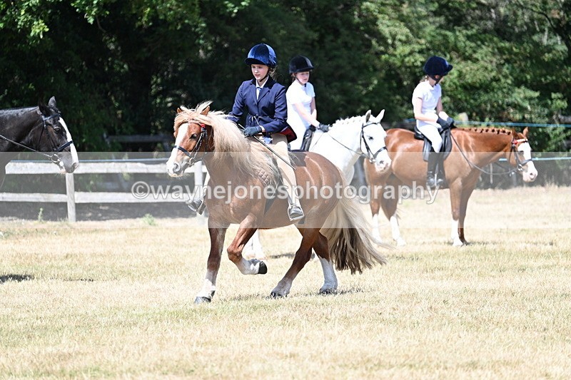 WJ7_3398 - Class 8 Ridden Veterans