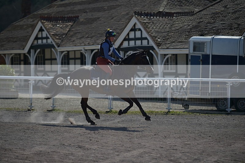 NGP_8245 - XC Time 13:29 to 13:34