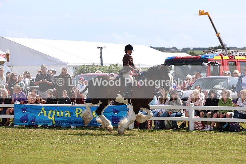 3E7A2912 - Class 13: Heavy Horse Ridden