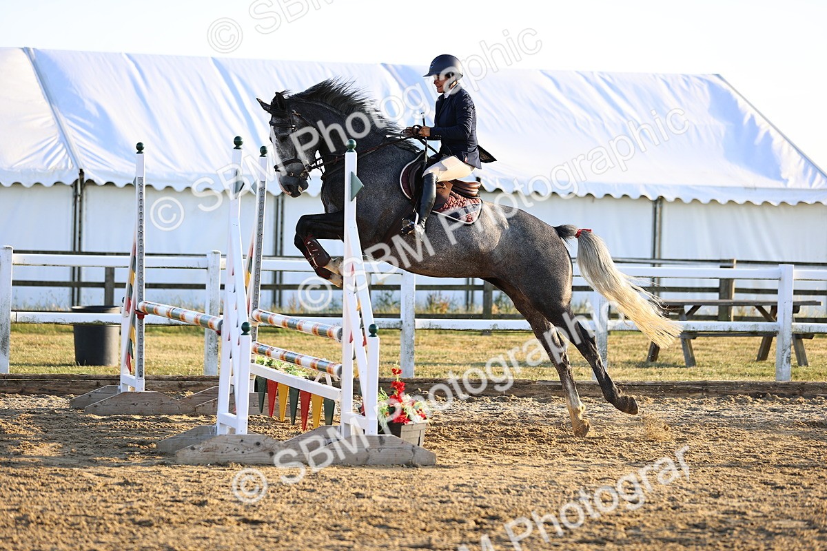 SBM_012624 - Class 12 - Senior British Novice - 90cm Open