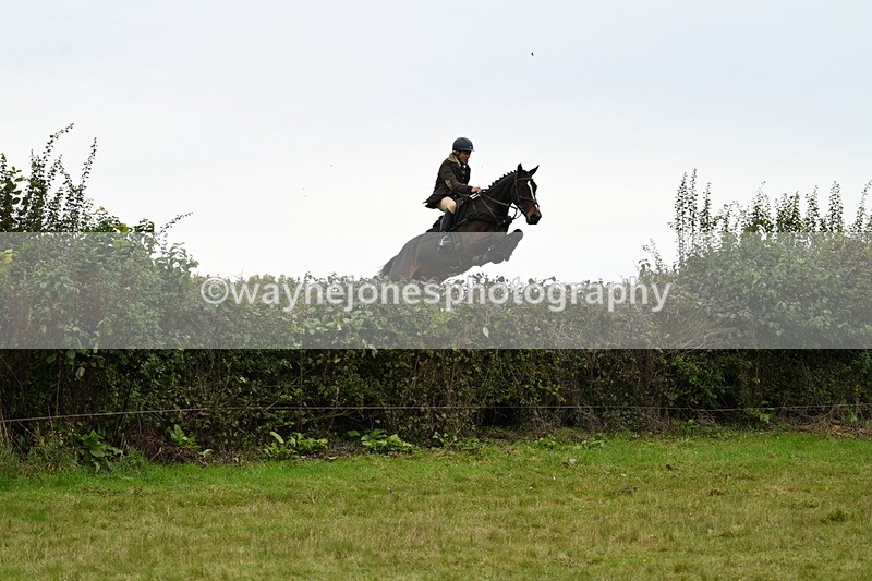 WJ7_4130 - Camera 1 Line 2