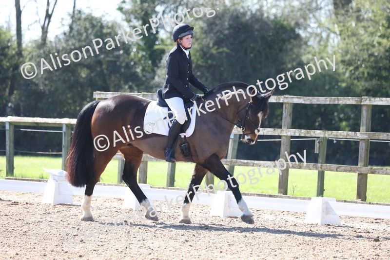 20260318-0320 - Class 3 - Prelim 1