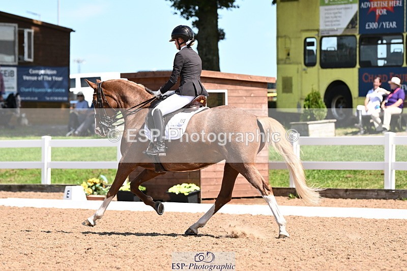 240816A-131556-05008 - 113-Ruby.Gumbley-Nova's.Golden.Dream