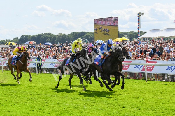290723-Race 3-Alflaila-0553 - Race 3 3.15pm Sky Bet York Stakes (Group 2)