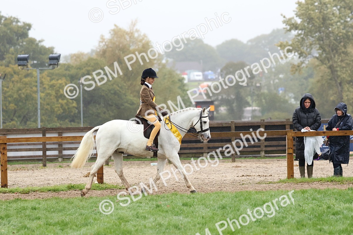 SBM_73114 - Ridden Pony Supreme Championship