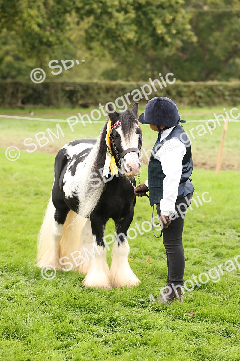SBM_59374 - S57 - Traditional Cob In Hand