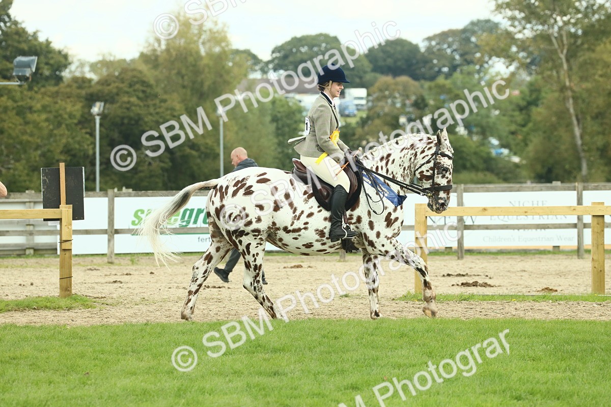 SBM_62564 - S62 - Foreign Breeds Ridden