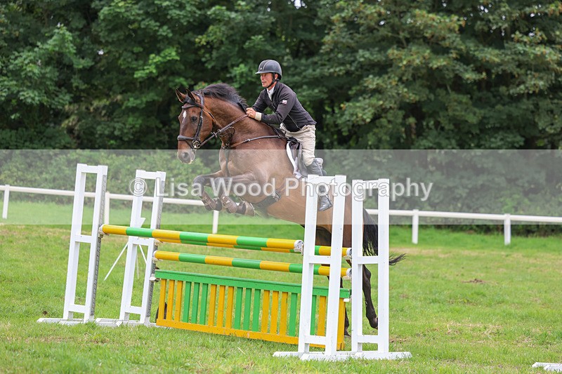 3E7A8283 - Class 7: Senior Newcomers/1.10m open