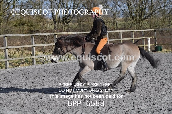 BPP_6588 - 60CM
