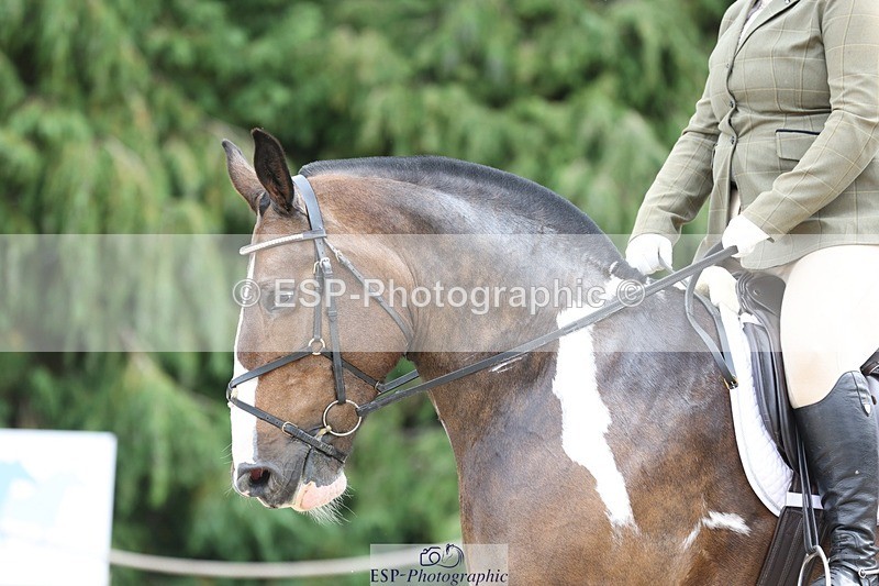 230813-131803-07307 - Cls 11 Elem Bronze 13.15 to 14.10 break