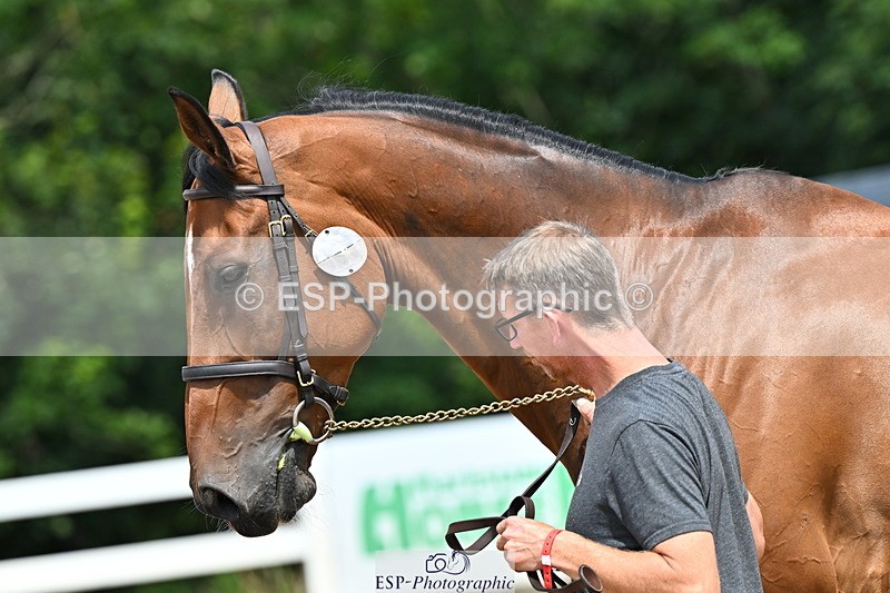 240718A-105312-01700 - Trot Up 1pm to 2pm