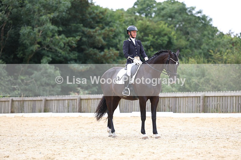 3E7A7252 - Class 9: Elementary 4 2024 - No sections