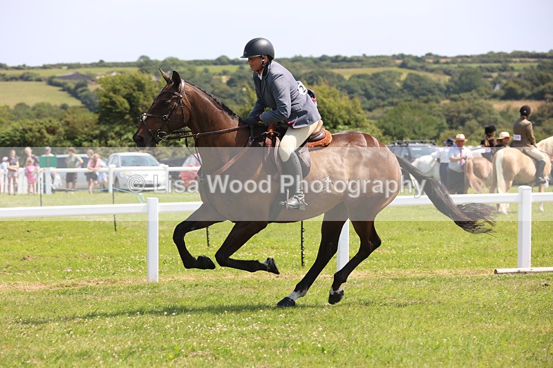 JPP_3279 - Class 22: Working Hunter 70cm