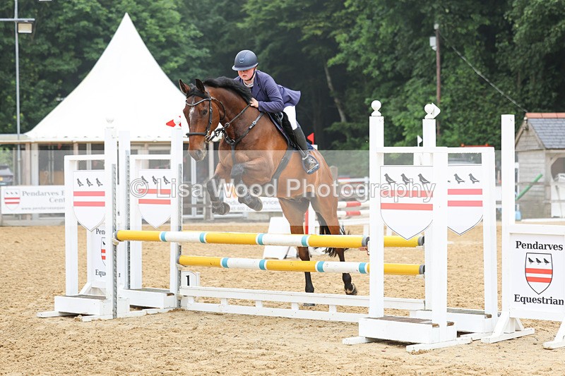 3E7A5555 - Class 4: Senior British Novice/90cm open