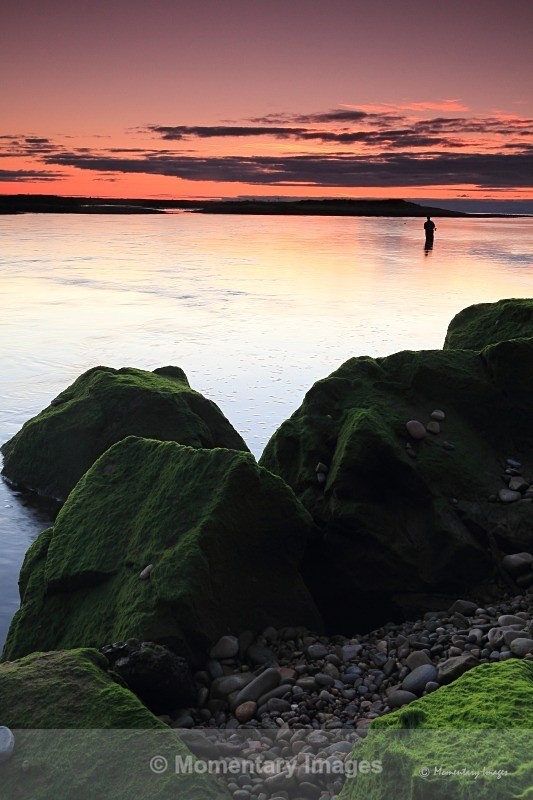 Final fish - Sunrise to sunset gallery