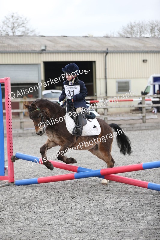 20260412-0170 - Show Jumping