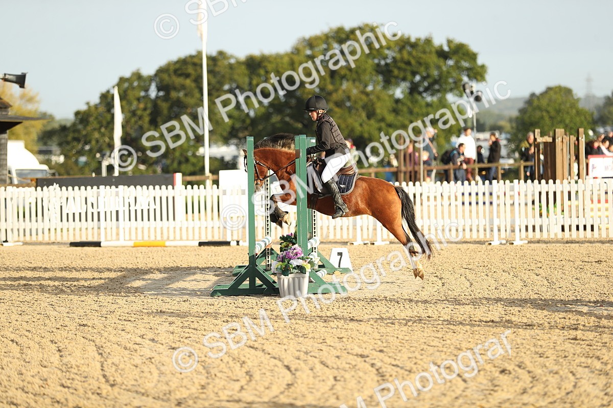 SBM_34154 - J60 Clear Round 50cm