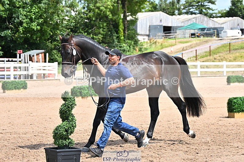 240718A-105301-01451 - Trot Up 12pm to 1pm