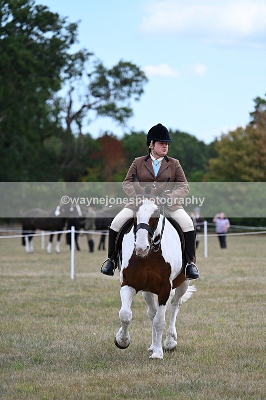 WJ7_5306 - Class 12 Ridden Cob