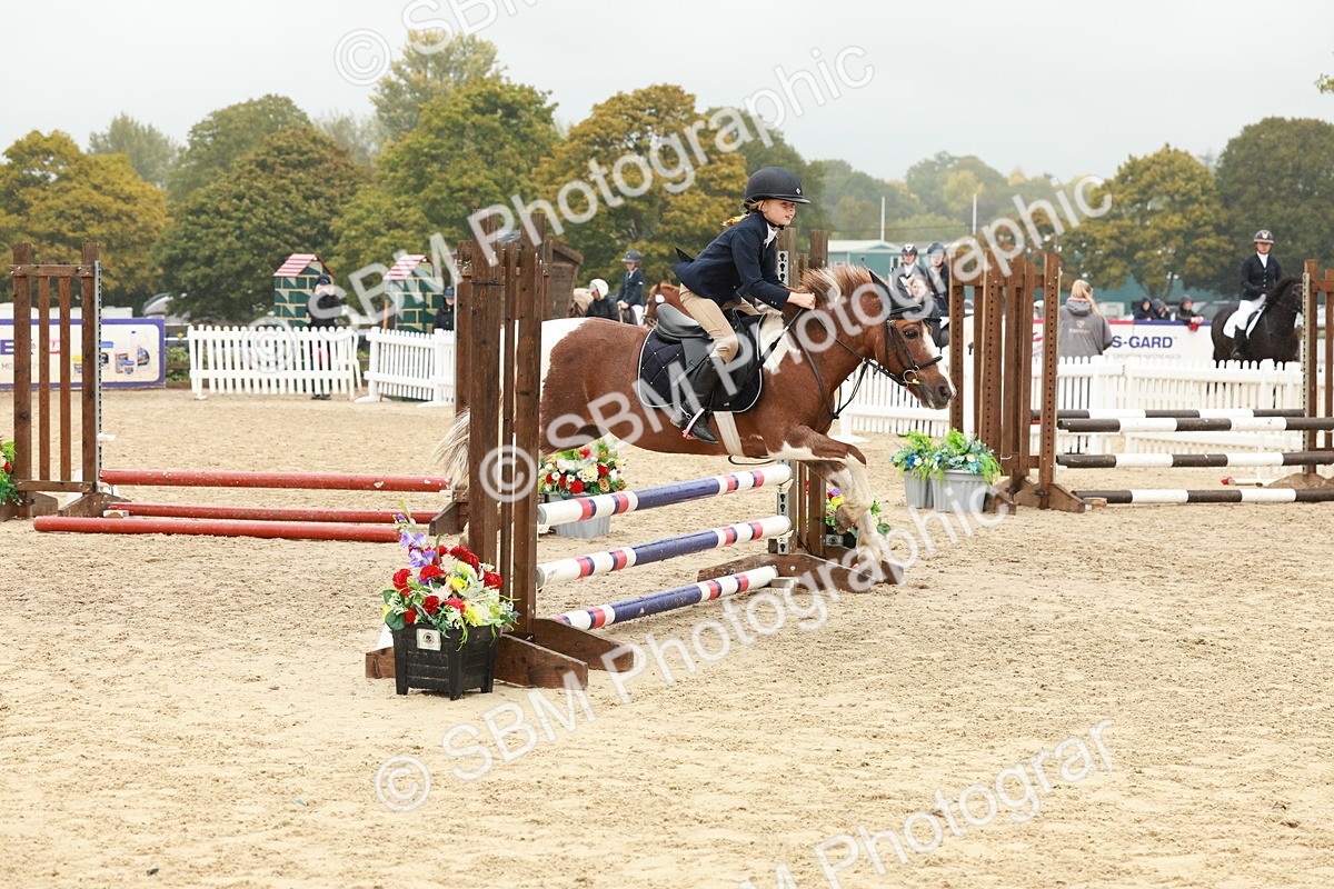 SBM_71076 - J14 - Junior Pony 65cm Championship