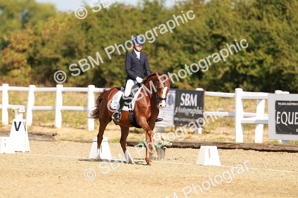 SBM_016815 - Class 9 - N5 Bronze 9.30.10.19
