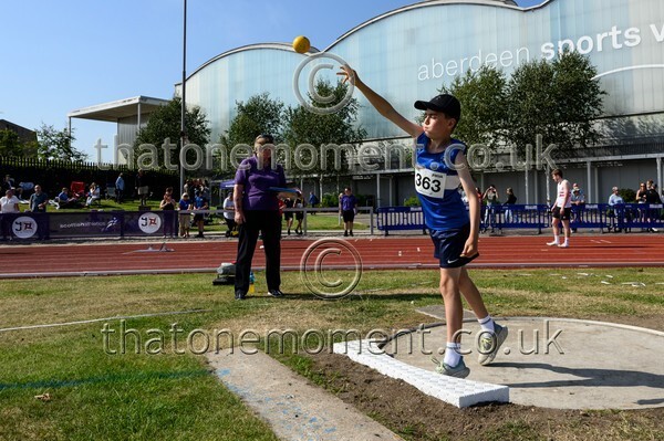 Age25SUN-928640 - Field Male