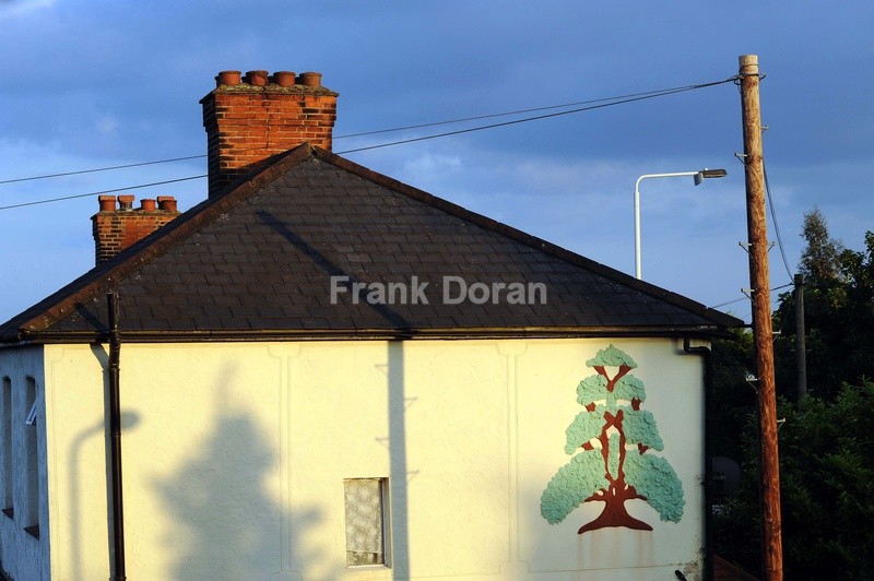 SUBURBIA - Frank Doran
