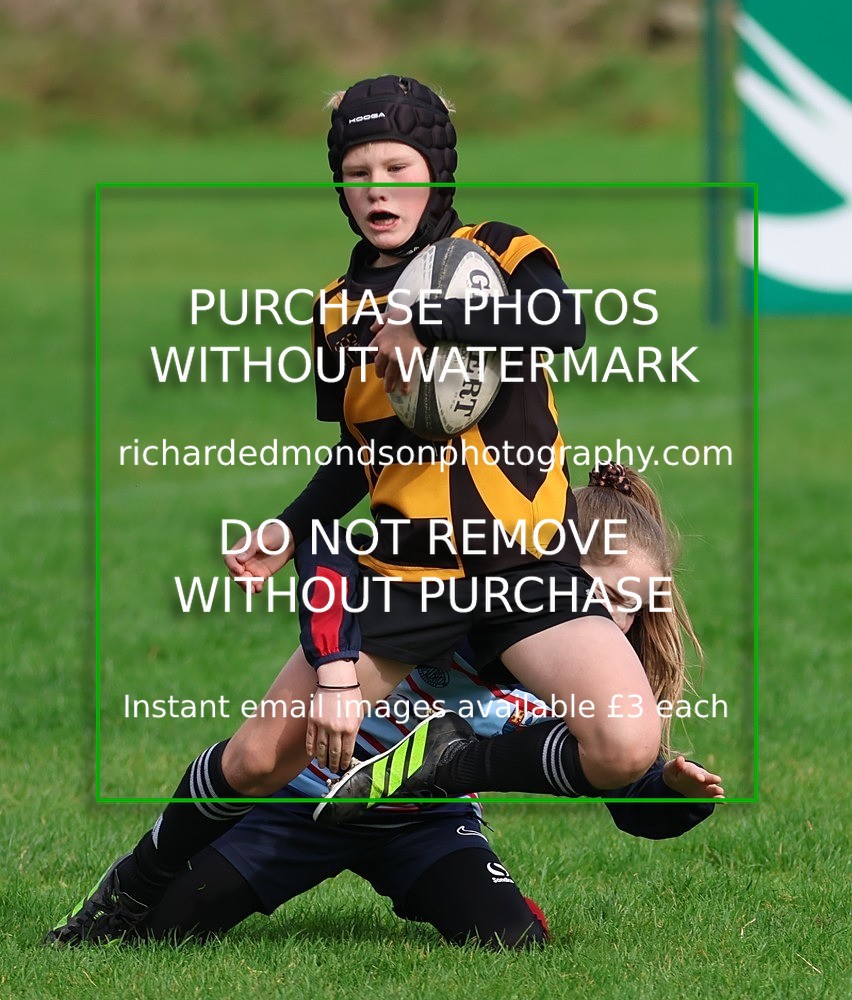 533A5442 - Kendal Rugby Juniors (5/10/25)