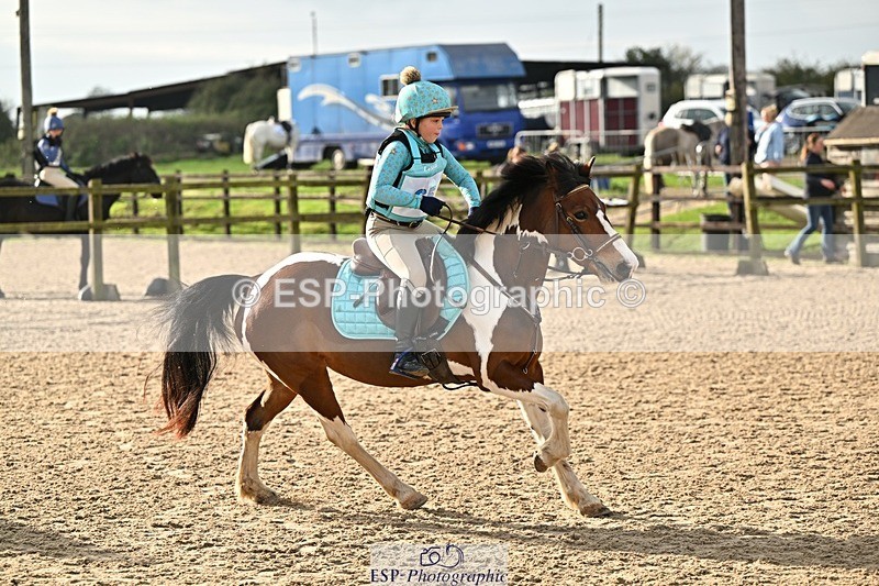 241110-125653-00795 - 50-55cm Arena Eventing