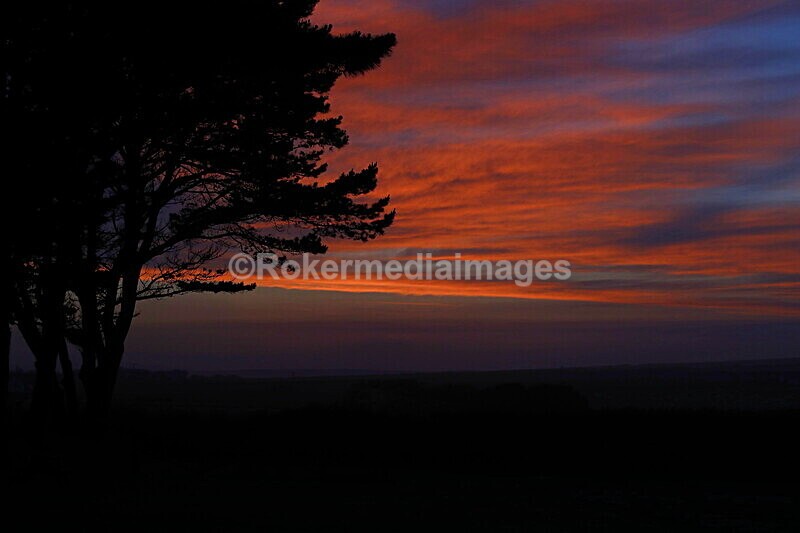 _56A6946 - Skomer 2019