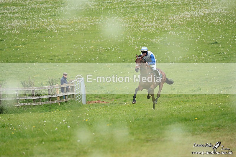 PtP 040526 499 - Mollington Point-to-Point 04/05/26