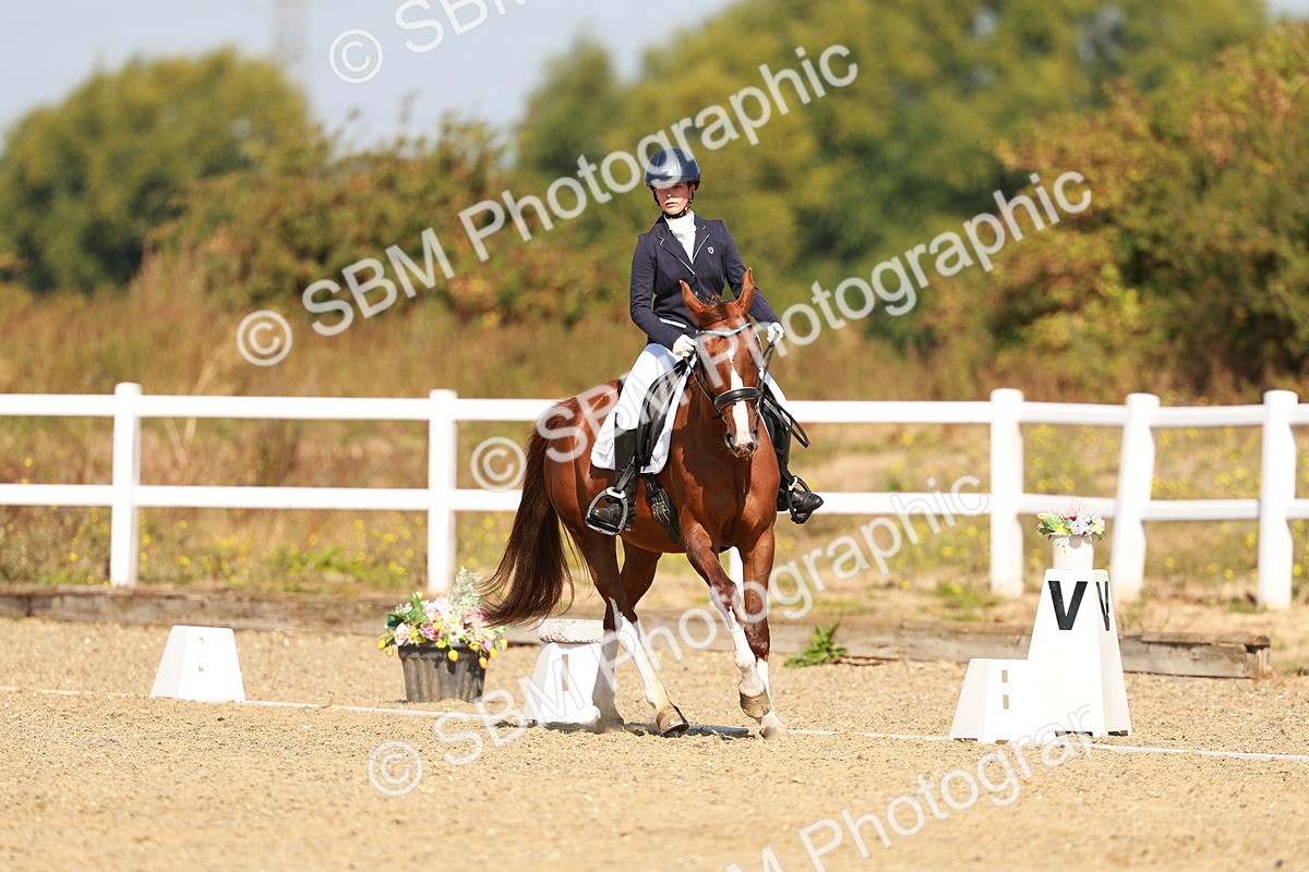 SBM_017616 - Class 9 - N5 Bronze 10.33.11.36