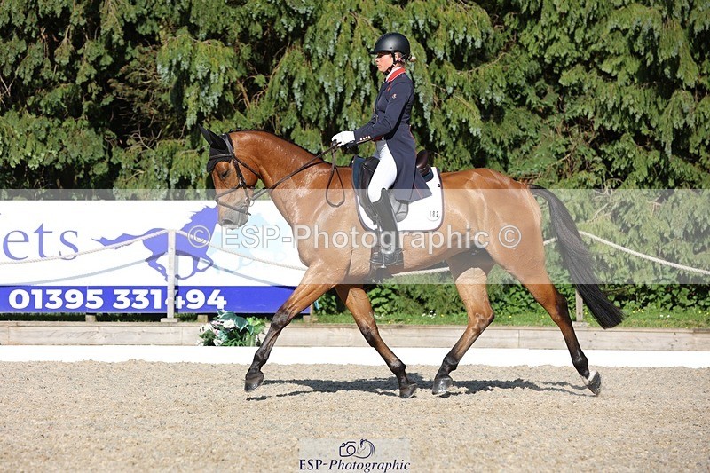 230526-175214-08048 - 182-HARTHILL_FLAMENCO-Izzy_Taylor-WEDTrotUp+DR