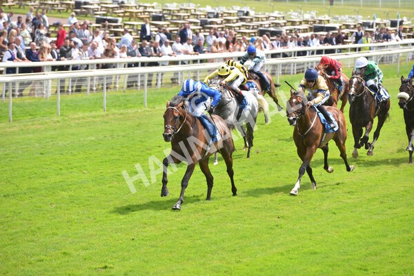 yr10072021r2-11 - Race 2: 2.20pm John Smith's Silver Cup Stakes