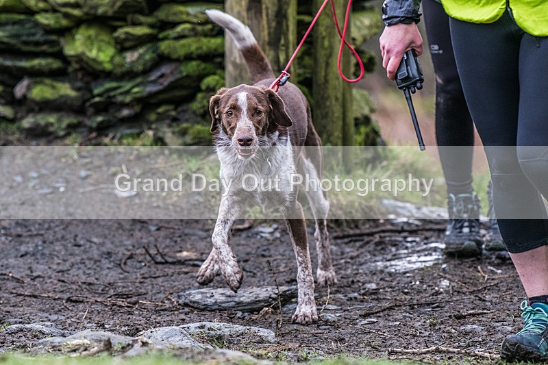 BB Kong-353 - Kong Running BB Kong Fell Race Saturday 17th February 2024
