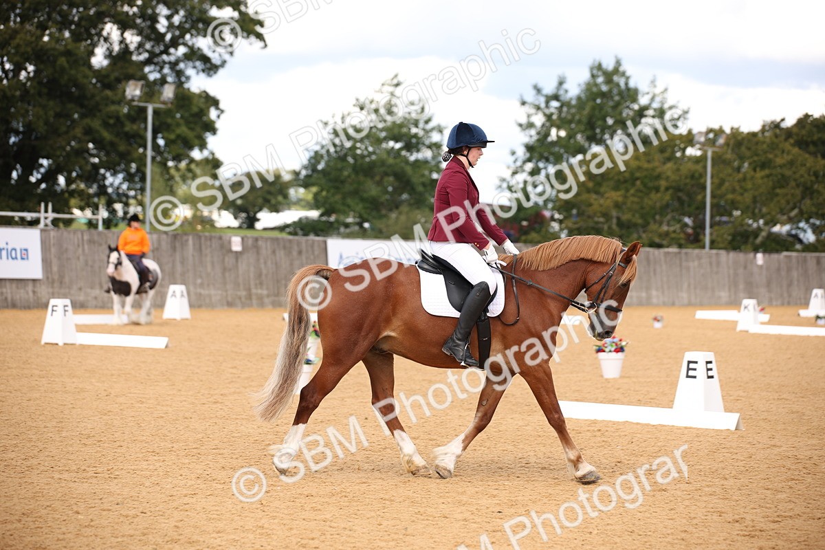 SBM_06743 - D8 Small Tour Championship Prelim 7