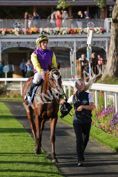 yr08102021r5-22 - Race 5 4.20pm Copper Knight - Winning Most Horse At York Handicap