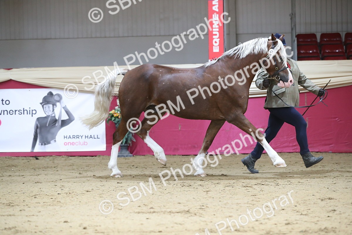 SBM_01312 - Class 3a Area IH Pre Vet