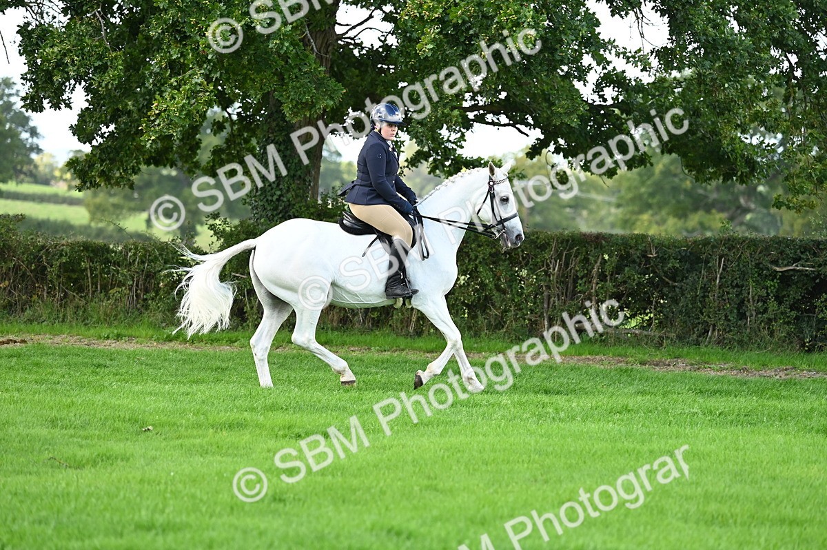 SBM_01691 - S2 - TSR Ridden Horse Showing
