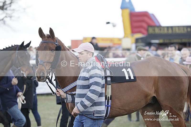 PtP 180323 773 - Shelfield Park Races with Croome & West Warwickshire Hunt  18/03/23