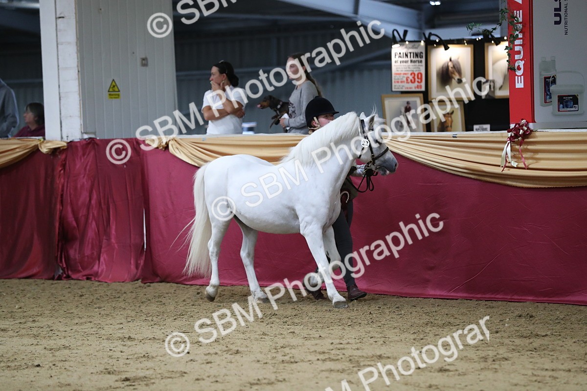 SBM_05083 - Class 8R- Regional -IH Veteran