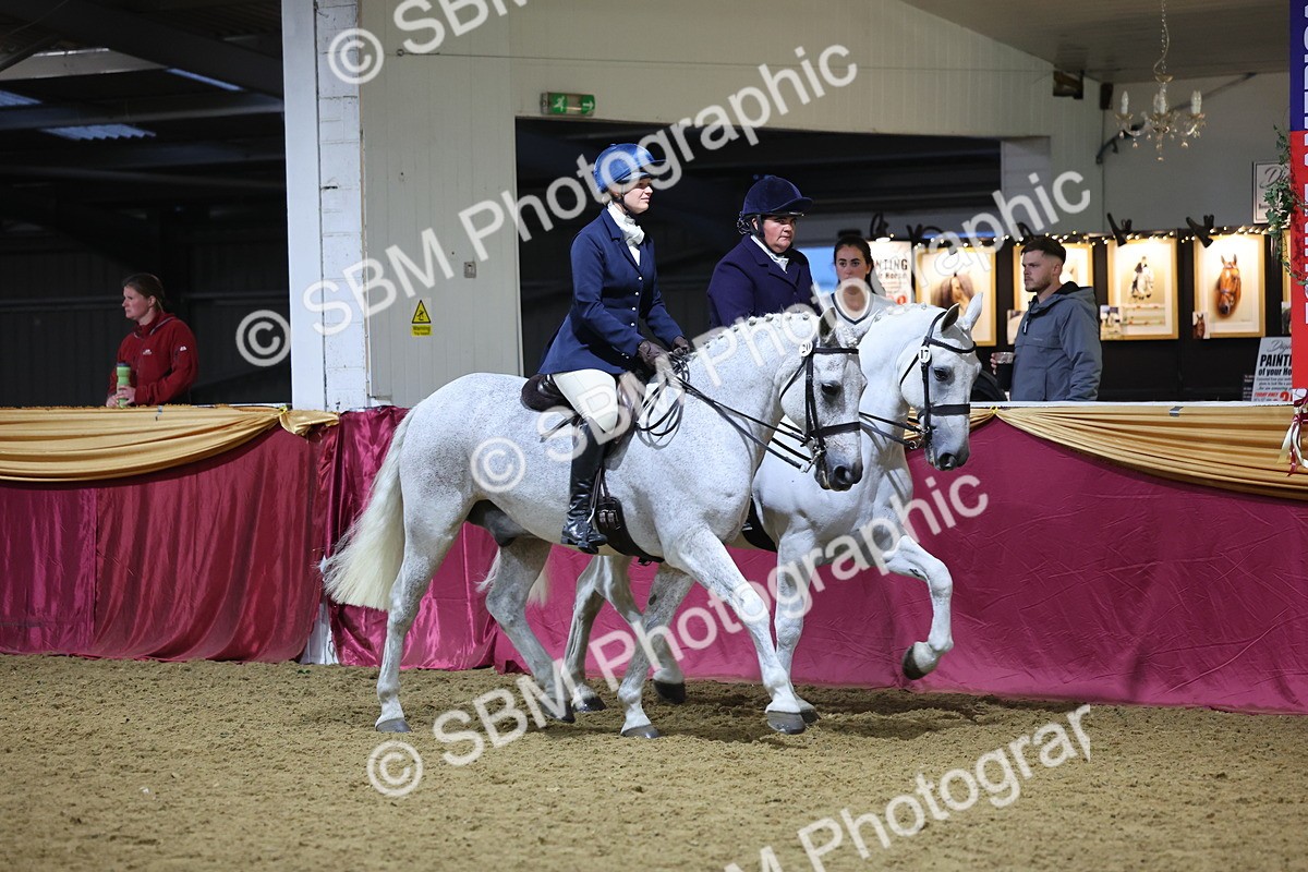 0B8A4320 - Class M Ridden Pairs Champ