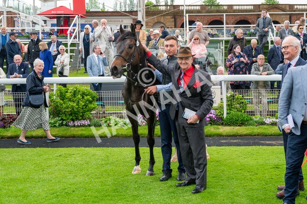150524-Race 2-Aleezdancer-7079 - Race 2 2.45pm Churchill Tyres Handicap